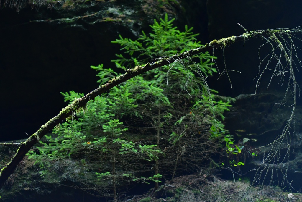 2018-10 Prague/Sächsische Schweiz/DSC_5857.JPG